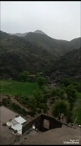 وادي الباقري