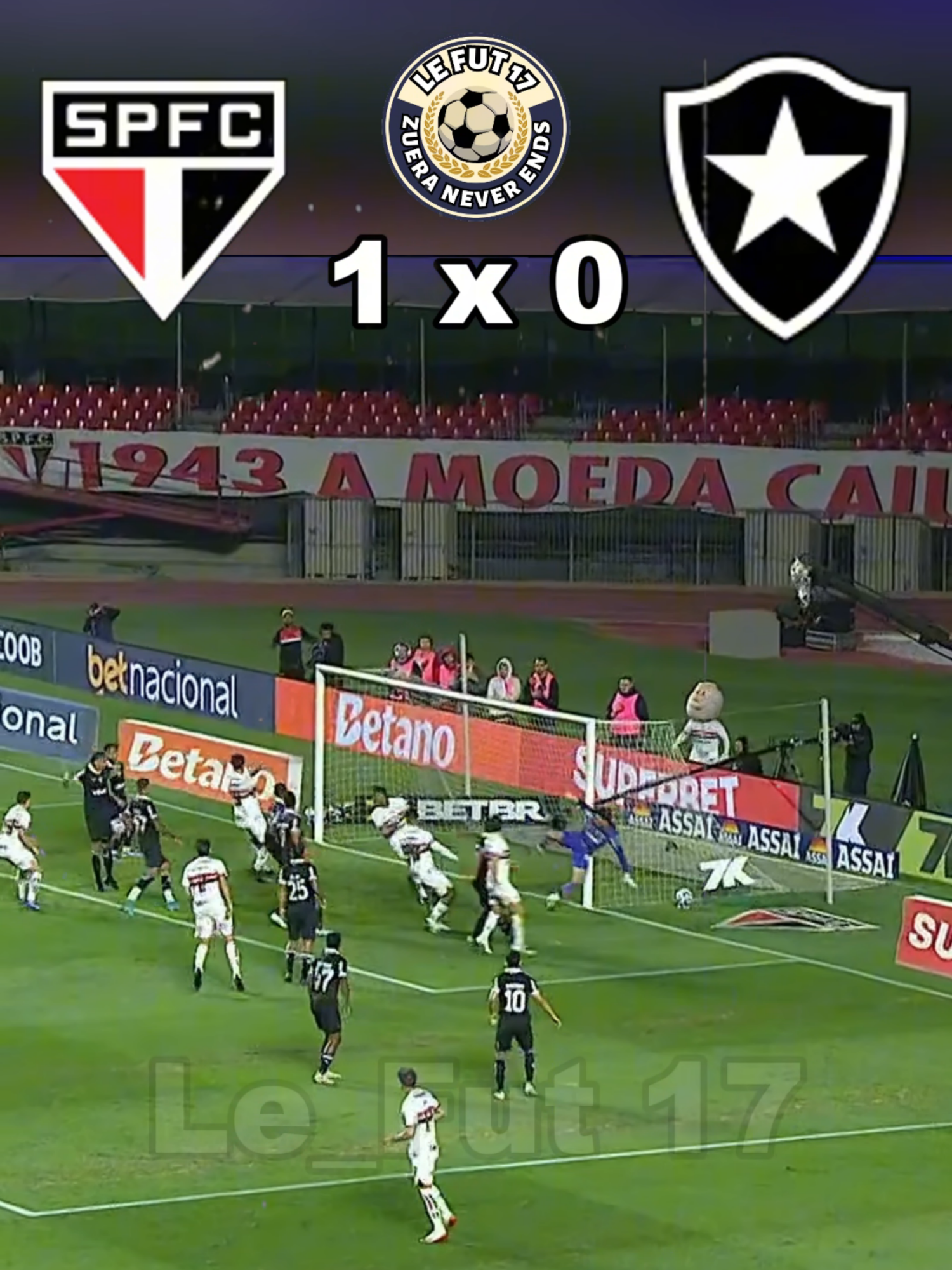 sao paulo x botafogo 😂🤣😁😄 #futebol #saopaulo #saopaulofc #tricolorpaulista #brasileirao #botafogo #engracado #edit #smzinho