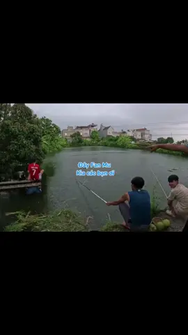 Fan mu chỉ đến thế thôi #manchesterunited #phd #phuonghuuduong #xh #fypシ 