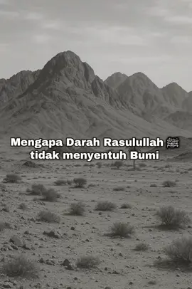 #alstory  #storyislamic  #kisahislami  #katabijakislami 