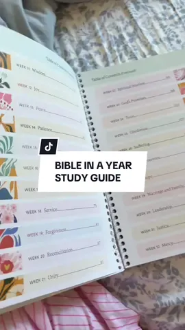 We need this more than ever right now..#studybible #biblestudy #christiantiktok #bible #faith 
