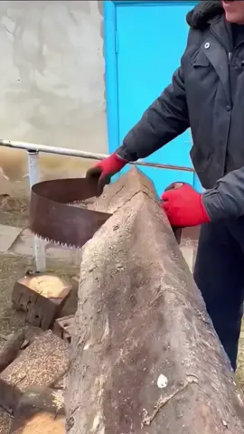 #speeddynamite 