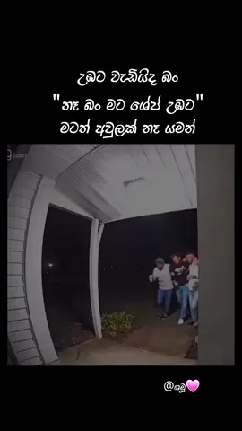 #fyppppppppppppppppppppppp #viral ##ශමූ💗 #fyp #creatorsearchinsights 