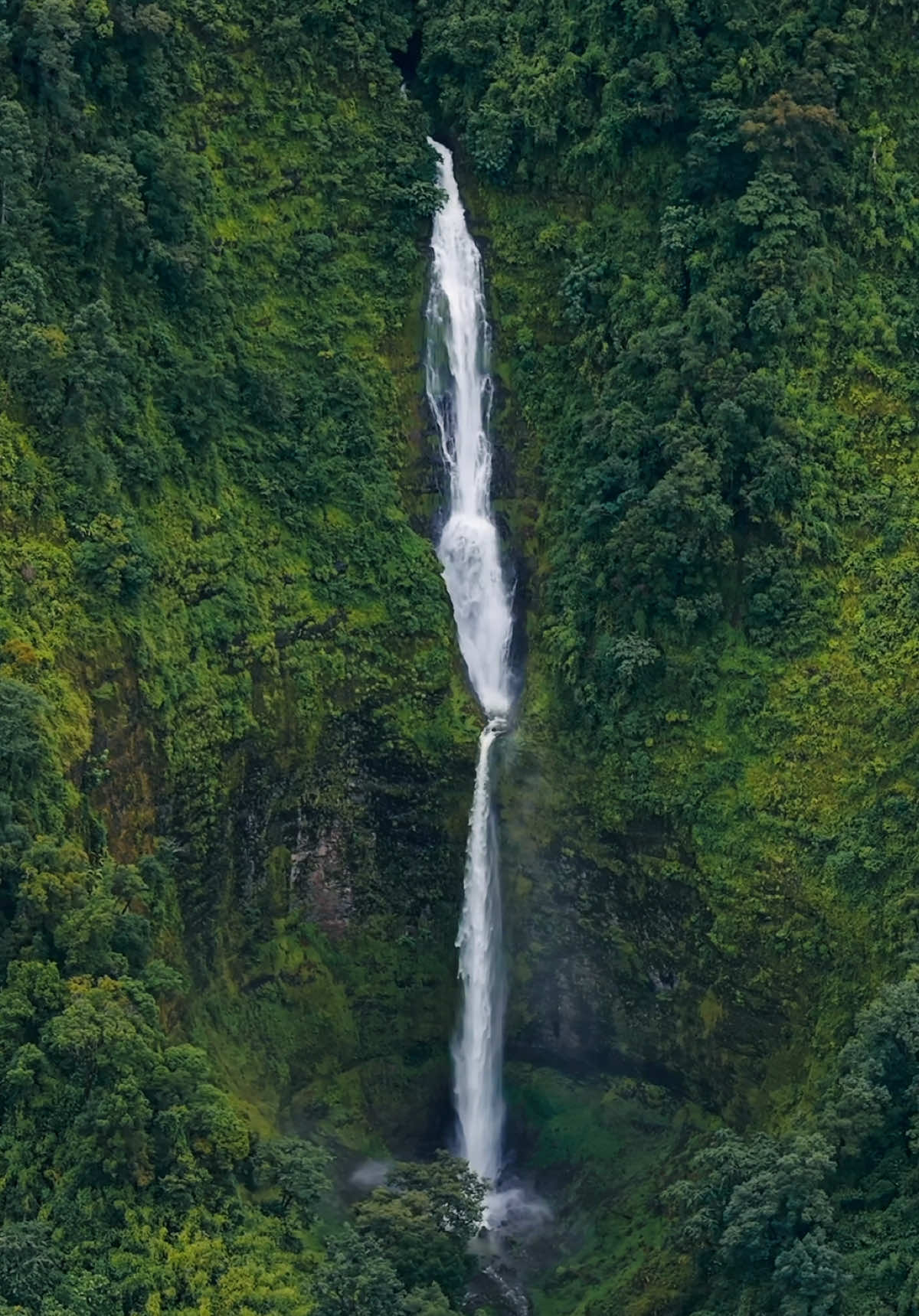#bolavenplateau #laos🇱🇦 #ลาวใต้ #waterfall #tiktokพาเที่ยว 