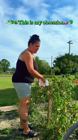 This is my obsession. My safe place my peace. Nothing more than feeling happy and peaceful #gardening  #gardentok  #vegetablegarden  #safespace 