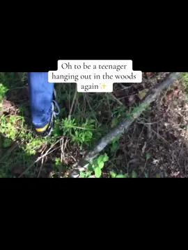 Posting #drafts because I need to start posting on this account more #LanguageLearning #woods #views #fyp 