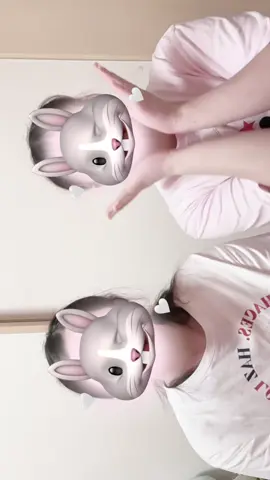 🐰