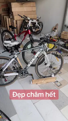Xe đạp xdlim