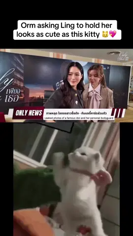 Orm asking Ling to hold her looks as cute as this kitty 🐱💖 #LingOrm #หลิงออม #ThaiGL #Linglingkwong #Ormkornnaphat 