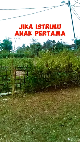 Jika istrimu anak pertama.  #JikaIstrimuAnakPertama #IstriAnakPertama #SuamiAnakPertama