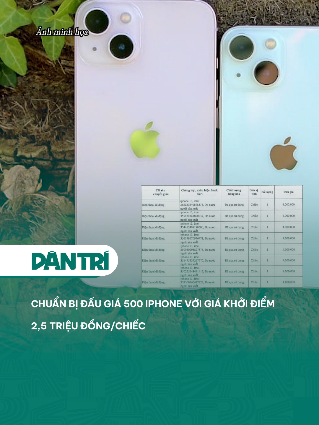 Chuẩn bị đấu giá 500 iPhone với giá khởi điểm 2,5 triệu đồng/chiếc #dantrinews #xuhuong #LearnOnTikTok #DantriKinhte