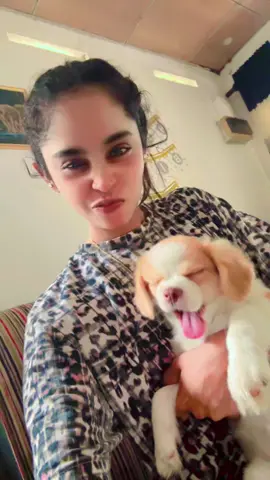 Eyaaa😍🐶 #foryou #foryoupage #following #viral #fypシ #onemillionaudition #trending 