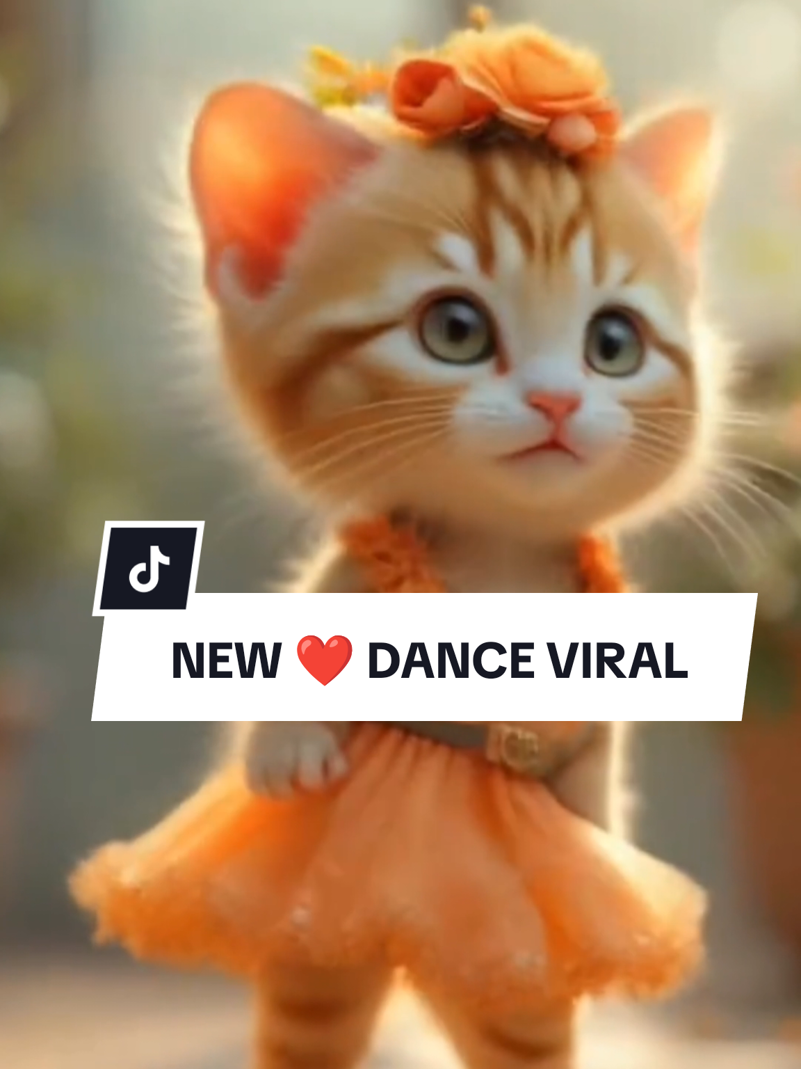 KUCING DANCE VIRAL KUCING LUCU KUCING JOGET KUCING MEONG MEONG MEONG #kucingoren #kucingtiktok #kucinggemoy #kucinglucu #kucing 