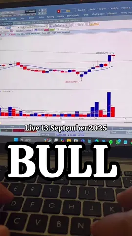 BULL #bull #tiktoklive #livehighlights 