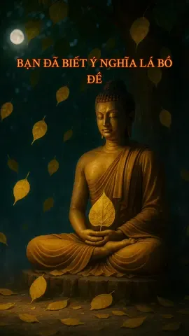 BẠN ĐÃ BIẾT Ý NGHĨA LÁ BỒ ĐỀ . #phatphapnhiemmau #phatphap #CapCut #giangphap #daophat