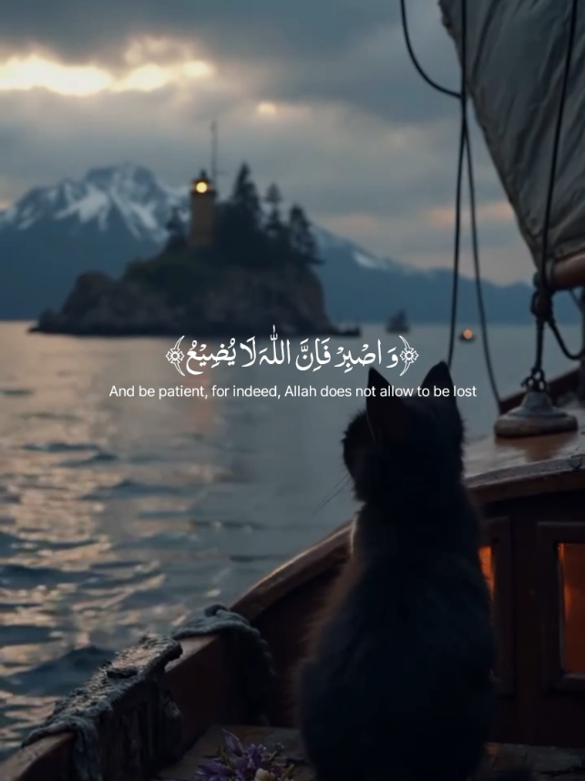 Surah HUD | Islam Sobhi  #allah #holyquran #القران_الكريم #quran #اسلام_صبحي 