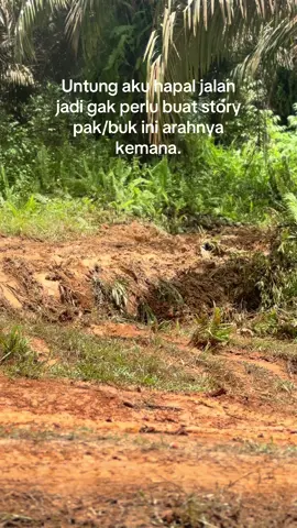 Iyaam#4u #xybca #fypage #viralfyp #CapCut #foryoupage #bismillahfyp #masukberanda #triton4x4club #hilux4x4offroad💯 #tokesawitmuda #sawitontiktok 