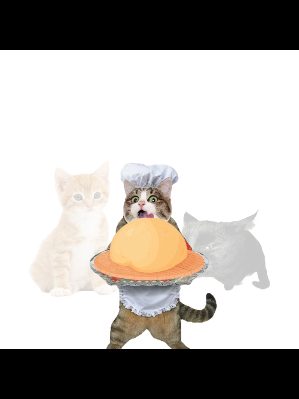 re subido 😔😨 #Edit #fyp #gatos #trend #memeanimation 