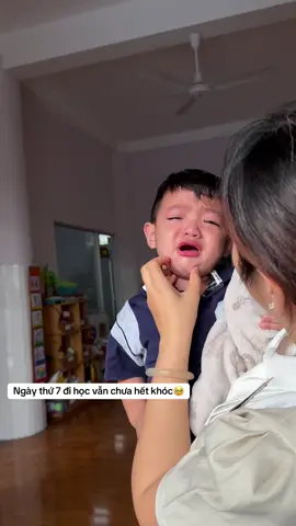 Thương quá🥹#sinchui #sieuquay #dihocmaugiao #virol #Vlog 