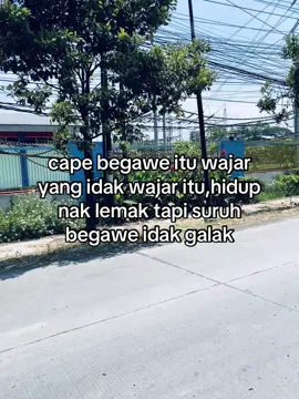 #fyp 