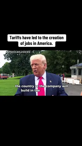 Trump loves tariffs. #shortviralvideo #messageideasforamericans #viralvideotiktoktoday #tiktokviral2025 #today #trendingtopicsrightnow #america #americanmemes #politics #trendingvideo #washington #peace #maga #biden2020 #worldnews #usa🇺🇸 #foreignaffairs #americasound #tiktok #jobs 