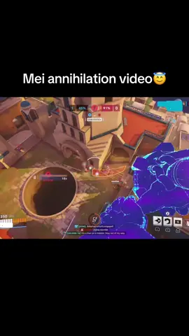 TW: very soothing😄 #fyp #funny #overwatch2 #relatable #echo 