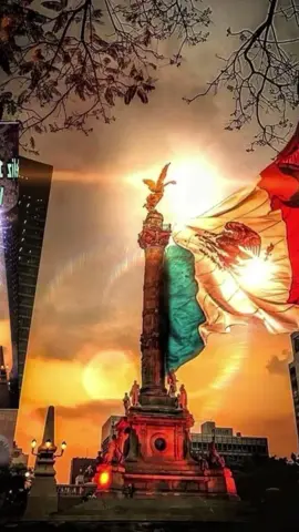 Viva México! feliz lunes!#CapCut #vivamexico #feliziniciodesemana #buenosdias #felizlunes 