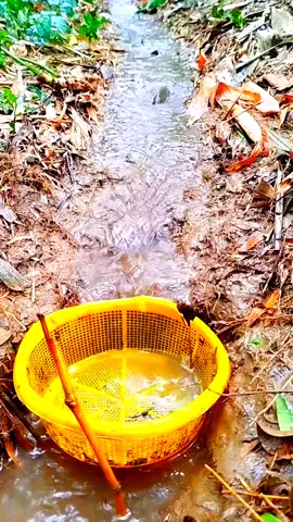 #foryou #foryoupage #new #viralvideo 