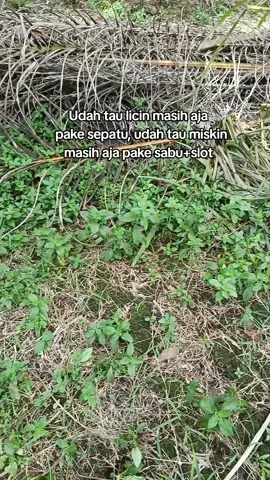 #hombingjas17 #unangkawanjangan #masukbrandafyp  #fpy_tiktok 