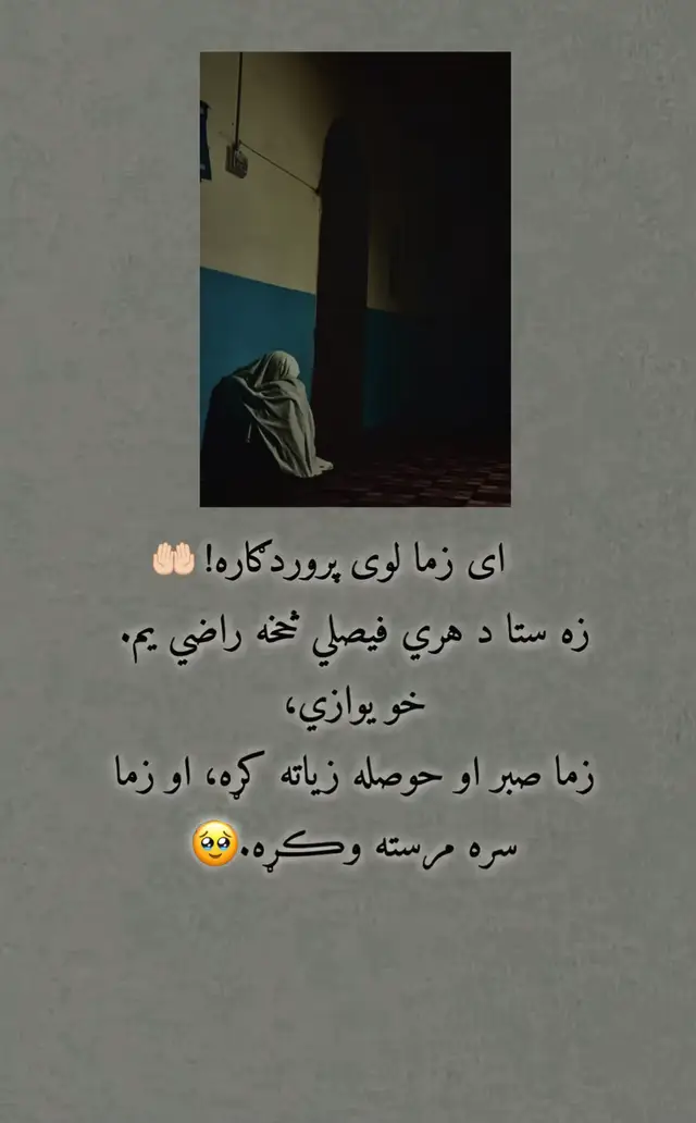 #f #islamicreminder #پشتون_تاجیک_هزاره_ازبک_زنده_باد🇦🇫 