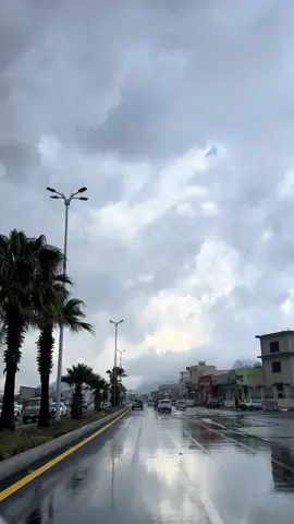صباح_الخير.....•🤍  ‏        ويوم_جميل_بإذن_الله ..
