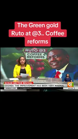 Coffee reforms, the green gold #kenyapolitics #foryou #kalenjintiktokers #ruto #kikuyuisbae 