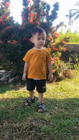 #CapCut 