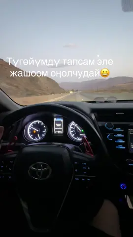 #трент 