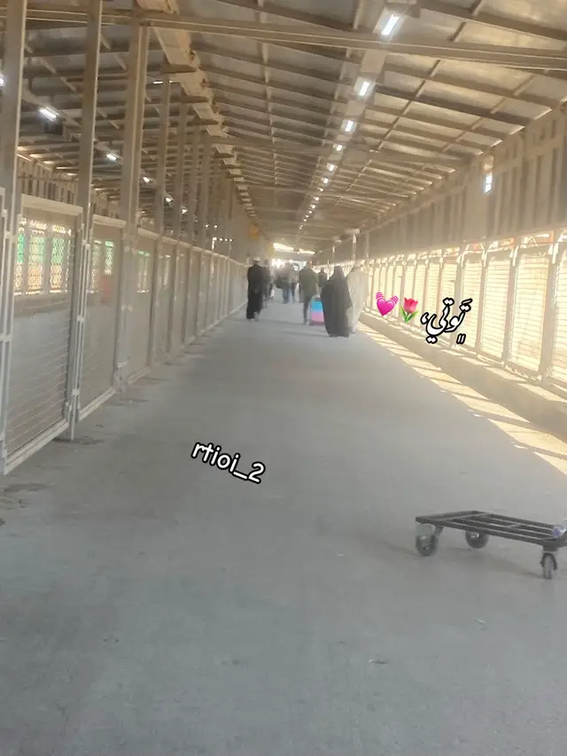 #توتي🌷💓#tiktok