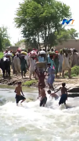 Farmers Carrying Loads, Kids Playing in the Canal #village #viral #fypviralシ #trending #unfrezzmyaccount 