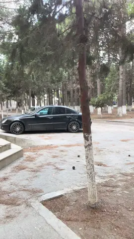 Sum bilen #mercedes #global #car #77LN207 