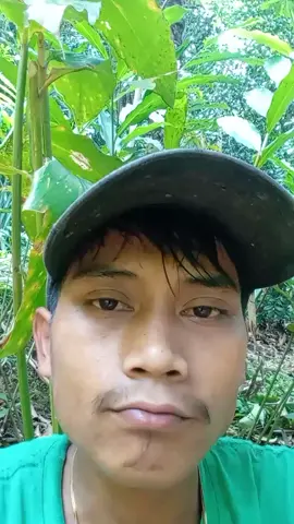 pernyataan prabowotentang program yang dia bikin harus terwujud kita lihat perkembangan lebih lanjutnya,,,