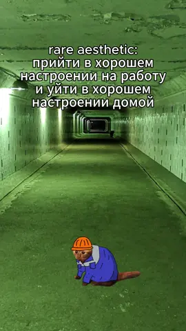 Реально редкость Тгк паблик для работников 5/2 в шапке профиля  #рекомендации #работа #завод 