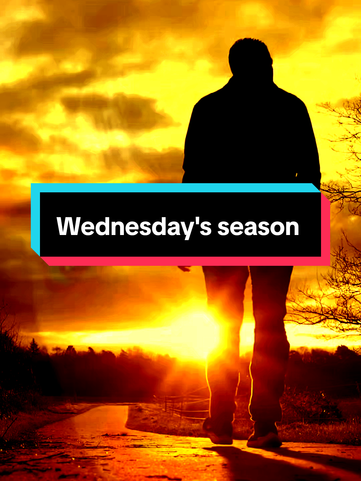 Wednesday's season 2 #wednesdayaddams #wednesdaynetflix #wednesday #wednesday  #creatorsearchinsights 