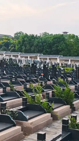 Chinese Graveyard 🇨🇳🇨🇳🇨🇳 #creatorsearchinsights #Yangtzeuniversity #china #foryou #10Mviews 