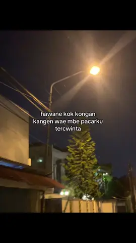 jane peletmu opo to yang