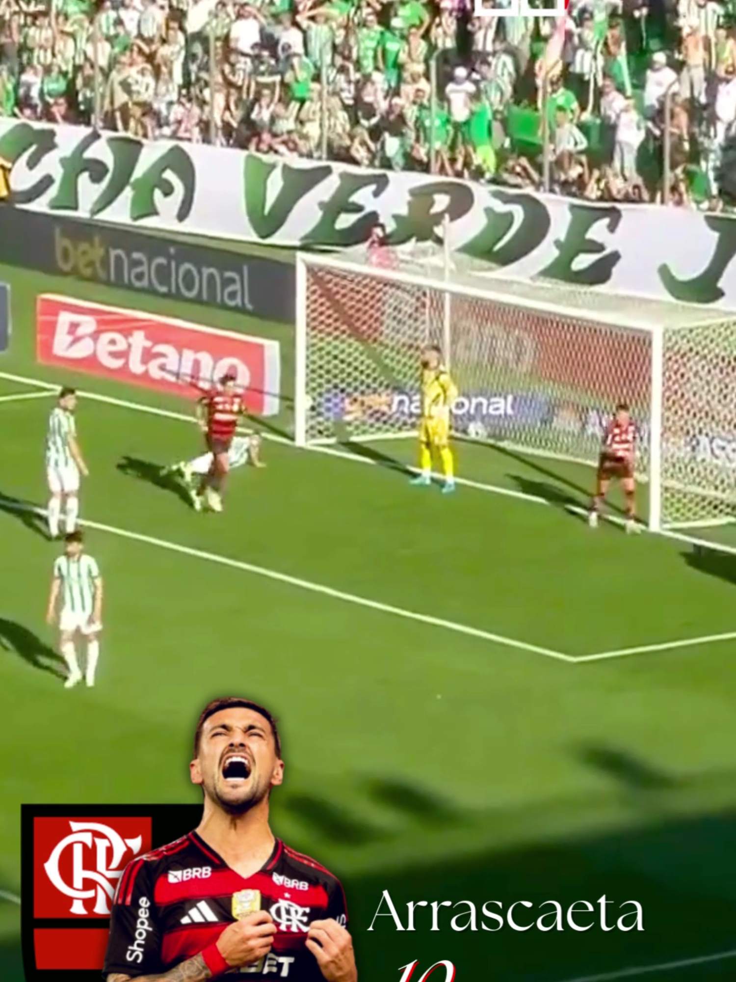 GOLS DE ARRASCAETA E EMERSON ROYAL NO JOGO DE ONTEM DO FLAMENGO CONTRA O JUVENTUDE #arrascaeta #emersonroyal #futebol #flamengo #juventude #gols #brasileirao