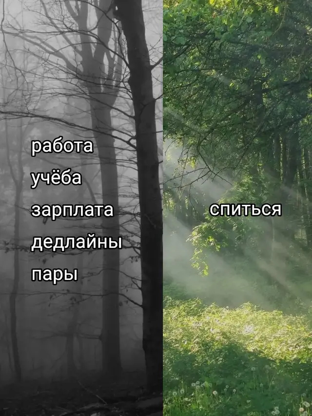 сегодня иду с любимыми первашами тгк: я люблю производную (или @irrenixx) #математика #math #maths #физика #physics 