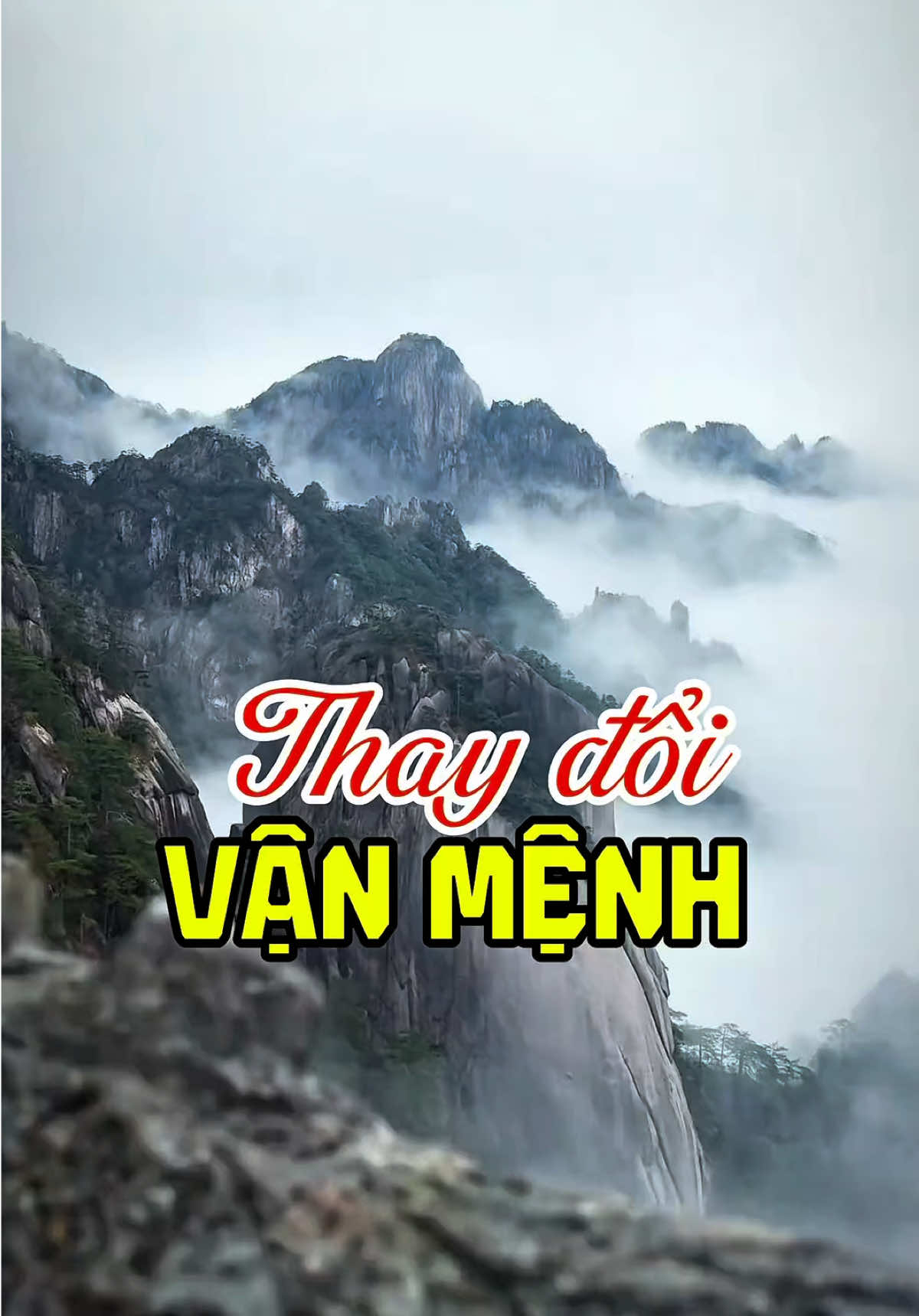 Chẳng cần lời hứa hoa mỹ: chỉ cần một tư duy sắc sảo, một chiến lược nhỏ – vận đổi đời, tiền chảy về. 🔍 Bí kíp từ hàng ngàn năm trước cũng vẫn còn hiệu nghiệm. #thanhtructieuhien #cohockythu #tritue #baihoccuocsong #trietly 