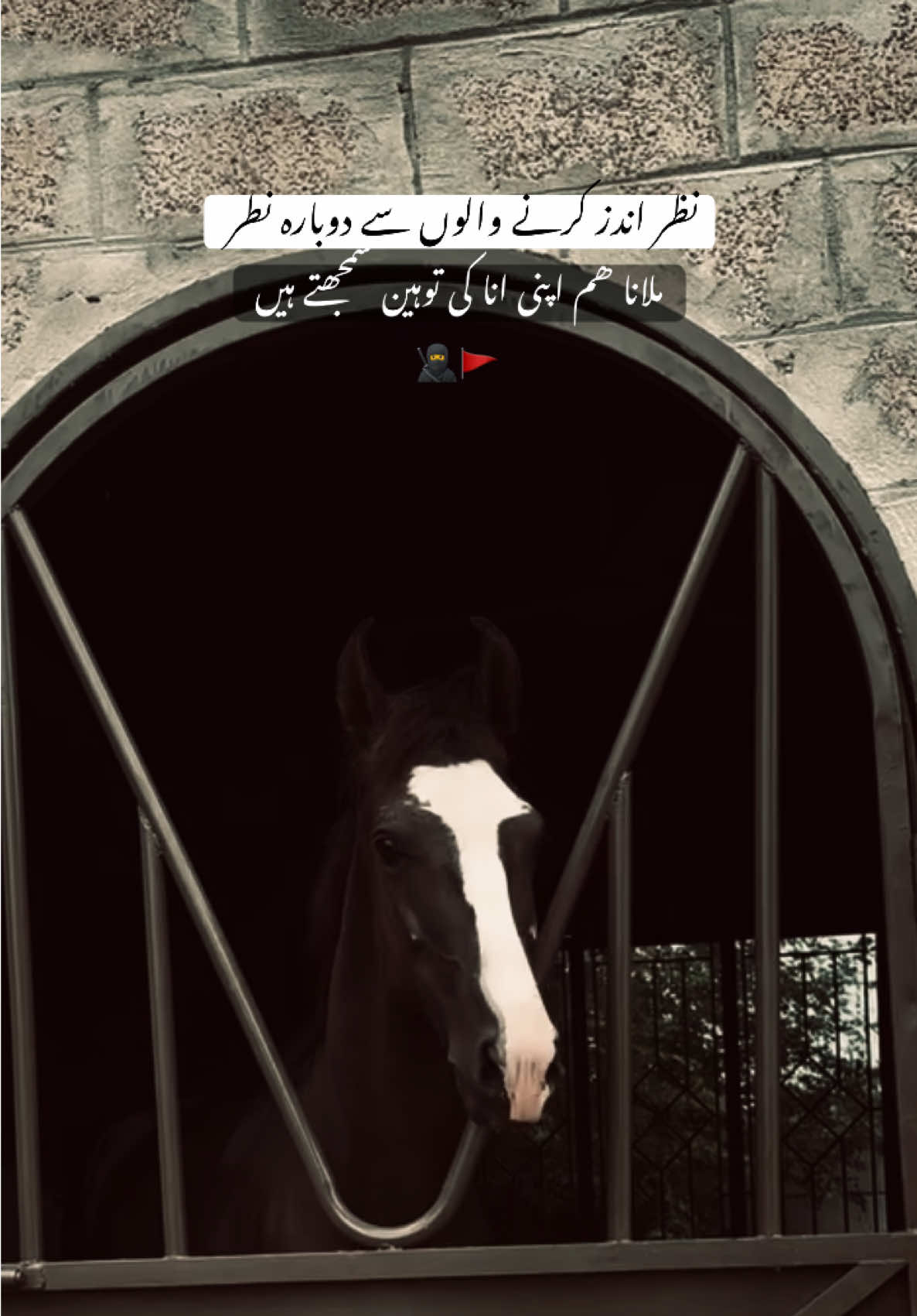 HAN G☠️’ . . . #fyp #sultanwrite34 #viraltiktok #foryoupage #millionviews 