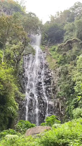 Surga tersembunyi di kediri #fyp #airterjun #wisatakediri #airterjunngelayang #waterfall 
