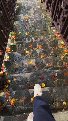 🍂🪵🤎 #september 