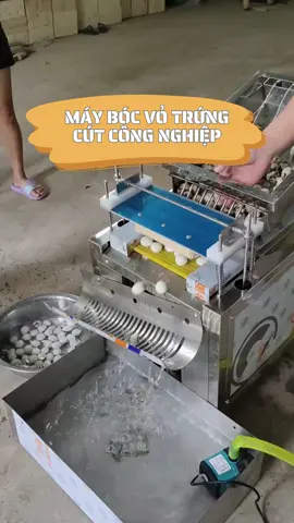 Máy bóc vỏ trứng cút công nghiệp #maybocvotrung #umega #maybocvotrungchimcut 