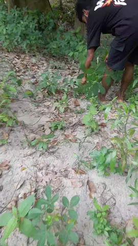তুমি শেষ🤣🤣🤝